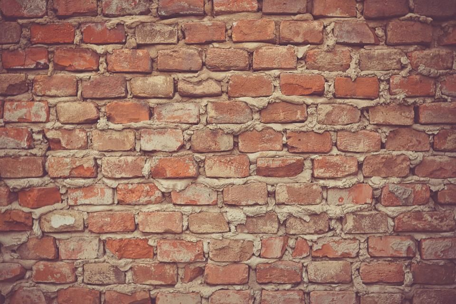 Murs et fondations